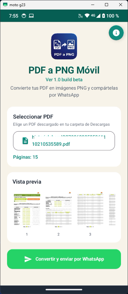 Captura de pantalla PDF a PNG 1